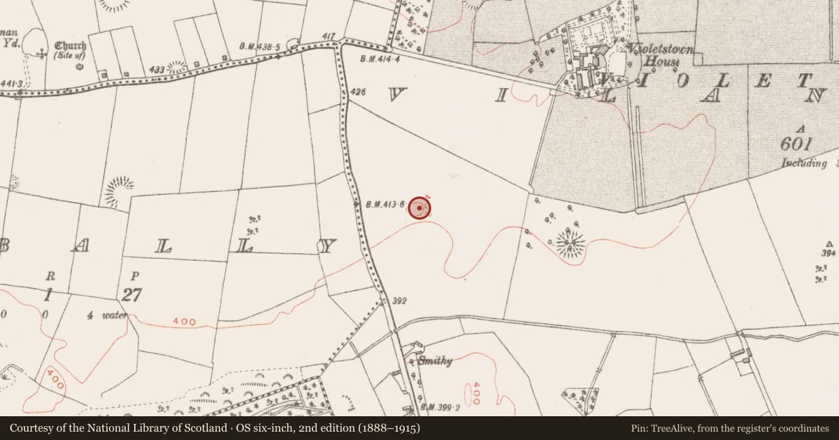Ordnance Survey six-inch map, 2nd edition (1888–1915) covering the location of Ringfort - rath, Vilanstown, County Westmeath, with a pin at the register's coordinates