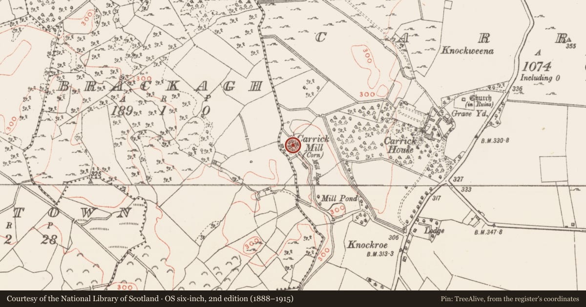 Ordnance Survey six-inch map, 2nd edition (1888–1915) covering the location of Water mill - unclassified, Carrick, County Westmeath, with a pin at the register's coordinates