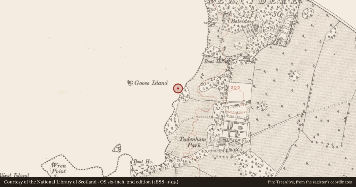 Ordnance Survey six-inch map, 2nd edition (1888–1915) covering the location of Settlement platform, Rochfort Demesne, County Westmeath, with a pin at the register's coordinates