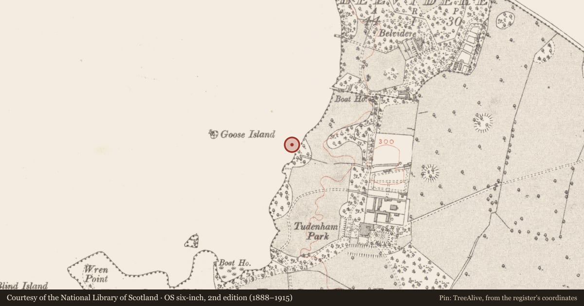 Ordnance Survey six-inch map, 2nd edition (1888–1915) covering the location of Settlement platform, Rochfort Demesne, County Westmeath, with a pin at the register's coordinates