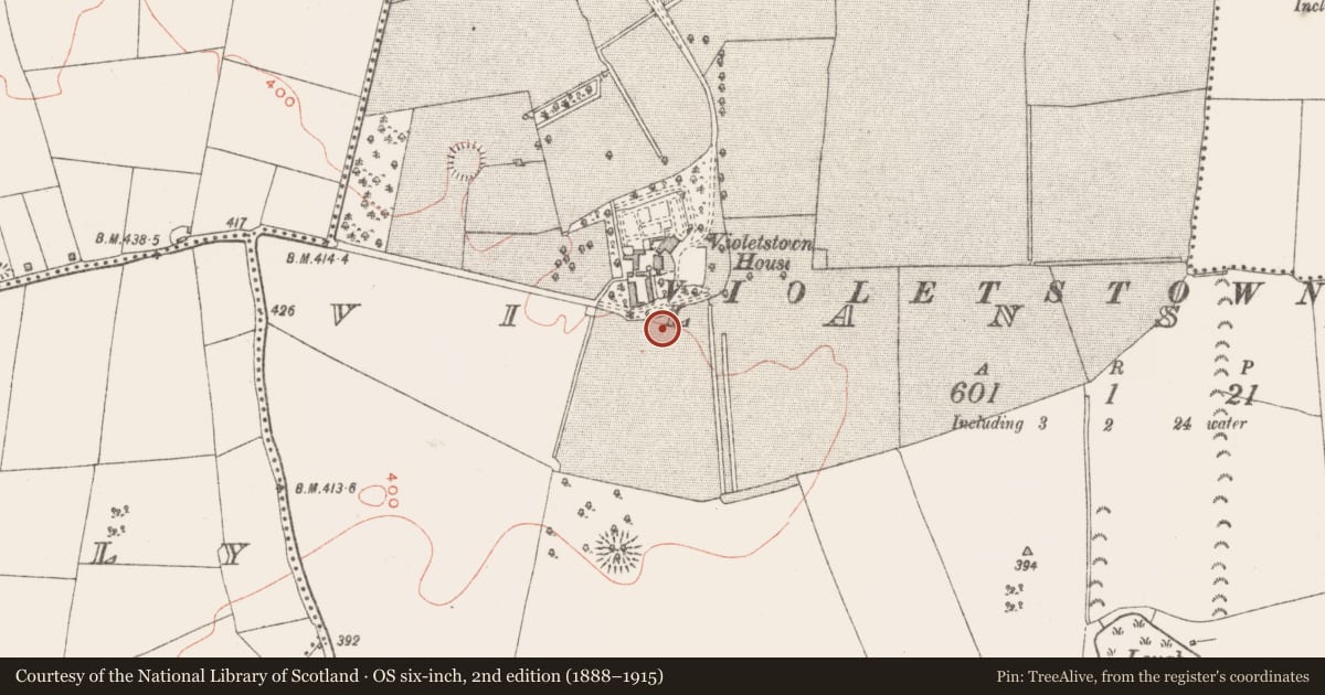 Ordnance Survey six-inch map, 2nd edition (1888–1915) covering the location of Penal Mass station, Vilanstown, County Westmeath, with a pin at the register's coordinates
