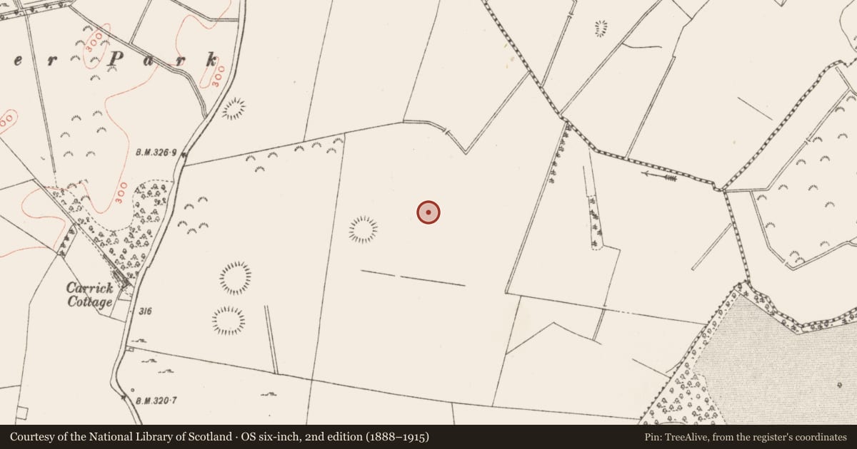 Ordnance Survey six-inch map, 2nd edition (1888–1915) covering the location of Enclosure, Carrick, County Westmeath, with a pin at the register's coordinates