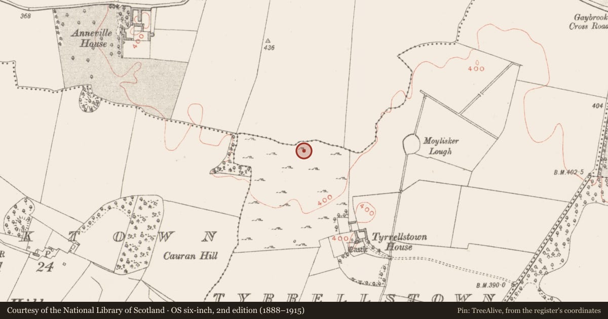 Ordnance Survey six-inch map, 2nd edition (1888–1915) covering the location of Ringfort - rath, Tyrrellstown, County Westmeath, with a pin at the register's coordinates