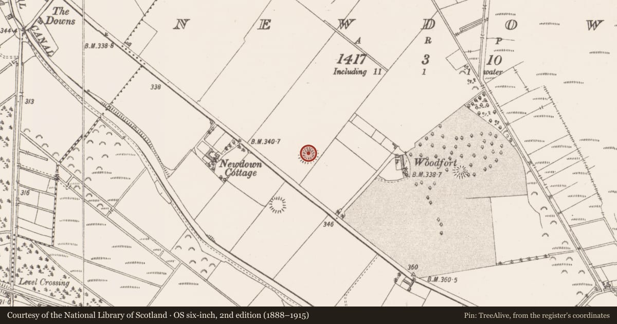 Ordnance Survey six-inch map, 2nd edition (1888–1915) covering the location of Ringfort - unclassified, Newdown, County Westmeath, with a pin at the register's coordinates
