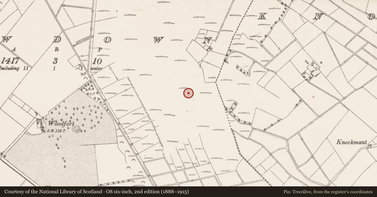 Ordnance Survey six-inch map, 2nd edition (1888–1915) covering the location of Road - unclassified togher, Newdown, County Westmeath, with a pin at the register's coordinates