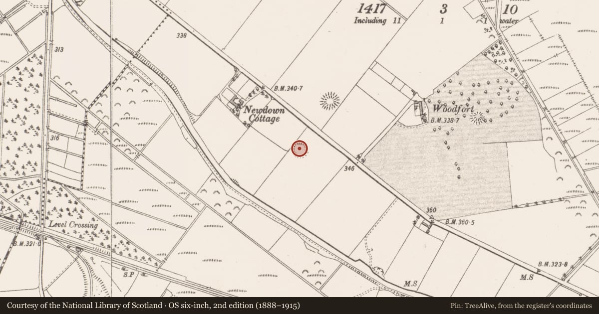 Ordnance Survey six-inch map, 2nd edition (1888–1915) covering the location of Ringfort - rath, Newdown, County Westmeath, with a pin at the register's coordinates
