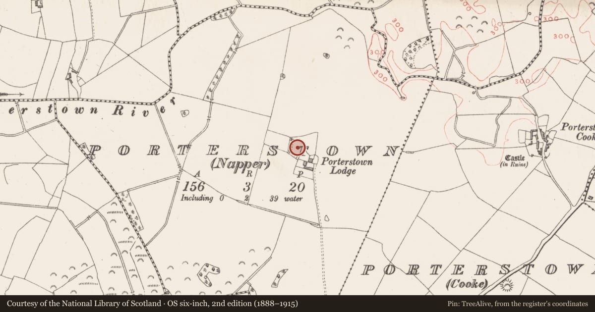 Ordnance Survey six-inch map, 2nd edition (1888–1915) covering the location of Ringfort - rath, Porterstown (Napper), County Westmeath, with a pin at the register's coordinates