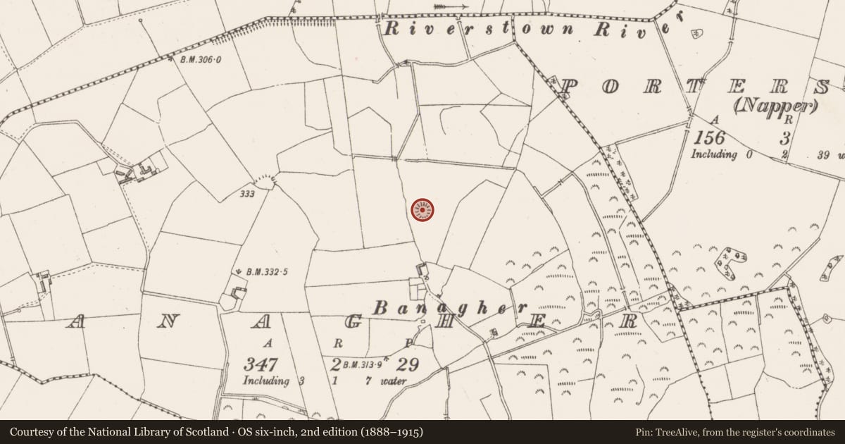 Ordnance Survey six-inch map, 2nd edition (1888–1915) covering the location of Castle - motte and bailey, Banagher, County Westmeath, with a pin at the register's coordinates