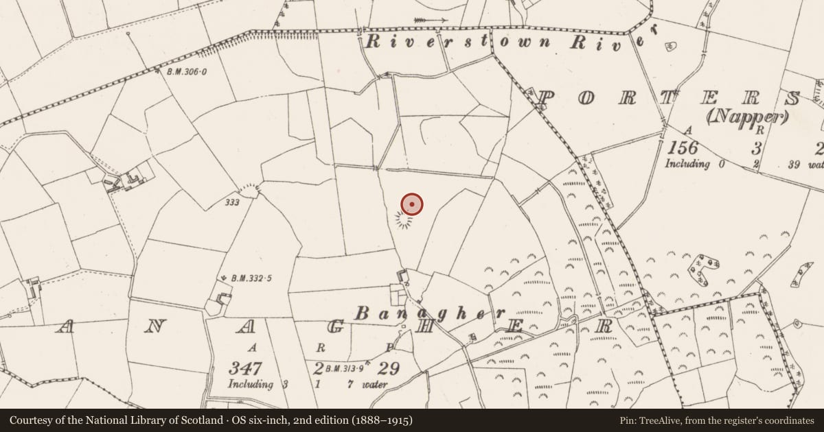 Ordnance Survey six-inch map, 2nd edition (1888–1915) covering the location of Road - hollow-way, Banagher, County Westmeath, with a pin at the register's coordinates