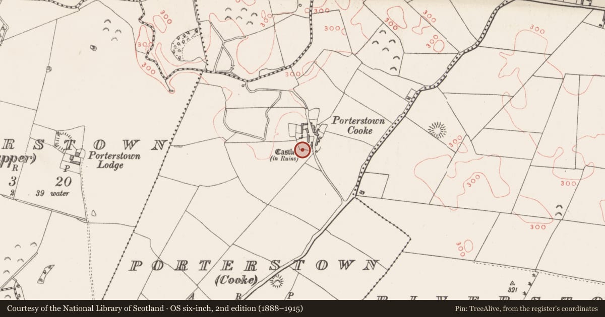 Ordnance Survey six-inch map, 2nd edition (1888–1915) covering the location of Castle - unclassified, Porterstown (Cooke), County Westmeath, with a pin at the register's coordinates