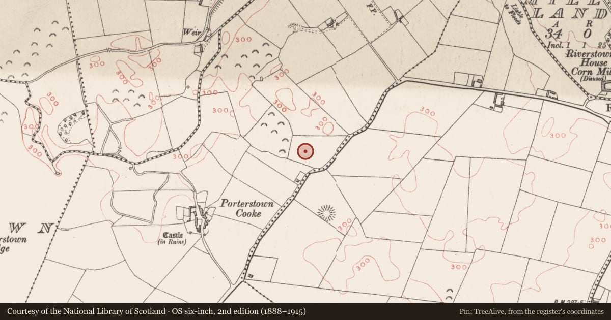 Ordnance Survey six-inch map, 2nd edition (1888–1915) covering the location of Standing stone, Porterstown (Cooke), County Westmeath, with a pin at the register's coordinates