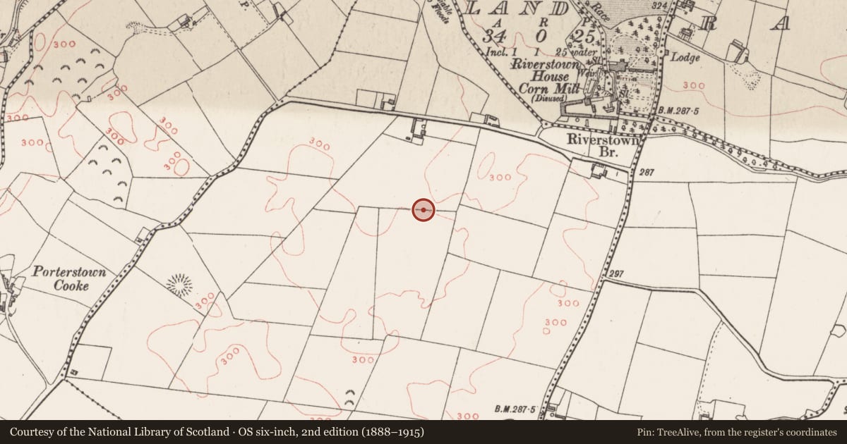 Ordnance Survey six-inch map, 2nd edition (1888–1915) covering the location of Cist, Riverstown, County Westmeath, with a pin at the register's coordinates