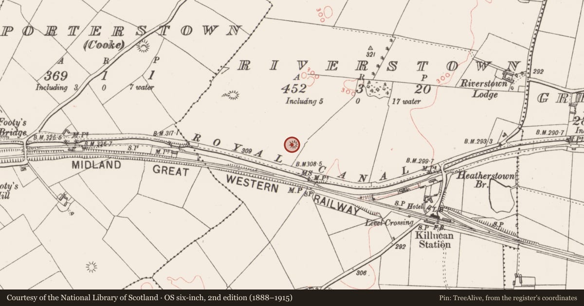 Ordnance Survey six-inch map, 2nd edition (1888–1915) covering the location of Barrow - ring-barrow, Riverstown, County Westmeath, with a pin at the register's coordinates