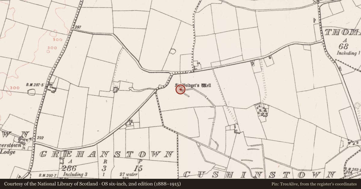 Ordnance Survey six-inch map, 2nd edition (1888–1915) covering the location of Ritual site - holy well, Cushinstown, County Westmeath, with a pin at the register's coordinates