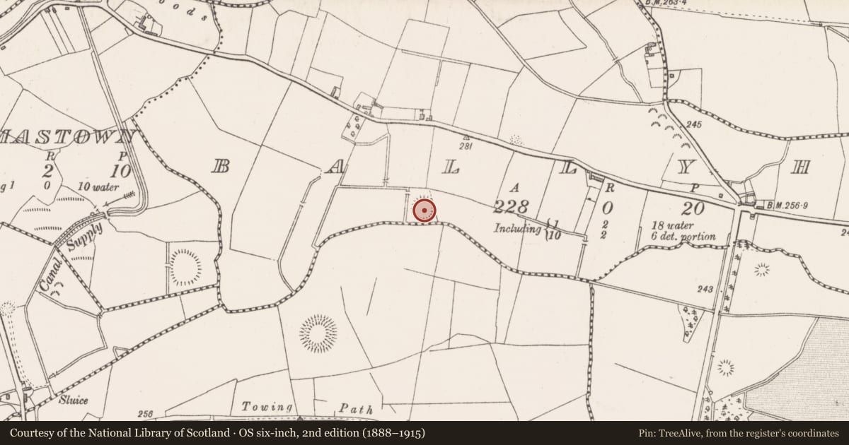 Ordnance Survey six-inch map, 2nd edition (1888–1915) covering the location of Ringfort - rath, Ballyhaw, County Westmeath, with a pin at the register's coordinates