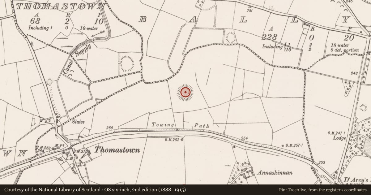 Ordnance Survey six-inch map, 2nd edition (1888–1915) covering the location of Castle - ringwork, Annaskinnan, County Westmeath, with a pin at the register's coordinates