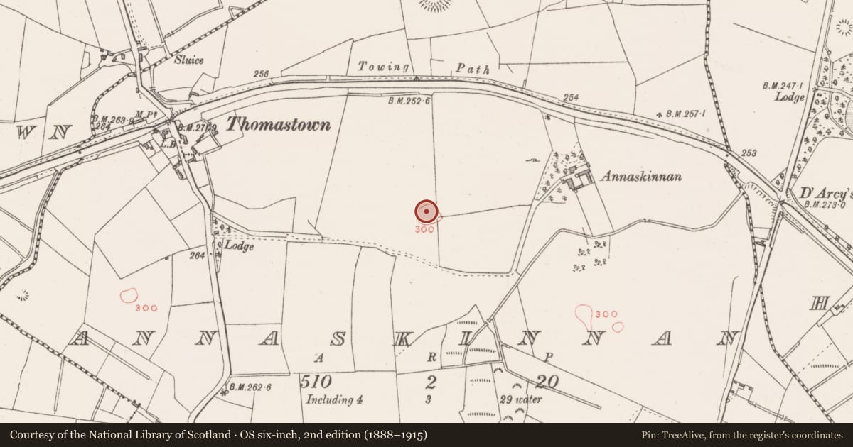 Ordnance Survey six-inch map, 2nd edition (1888–1915) covering the location of Barrow - unclassified, Annaskinnan, County Westmeath, with a pin at the register's coordinates