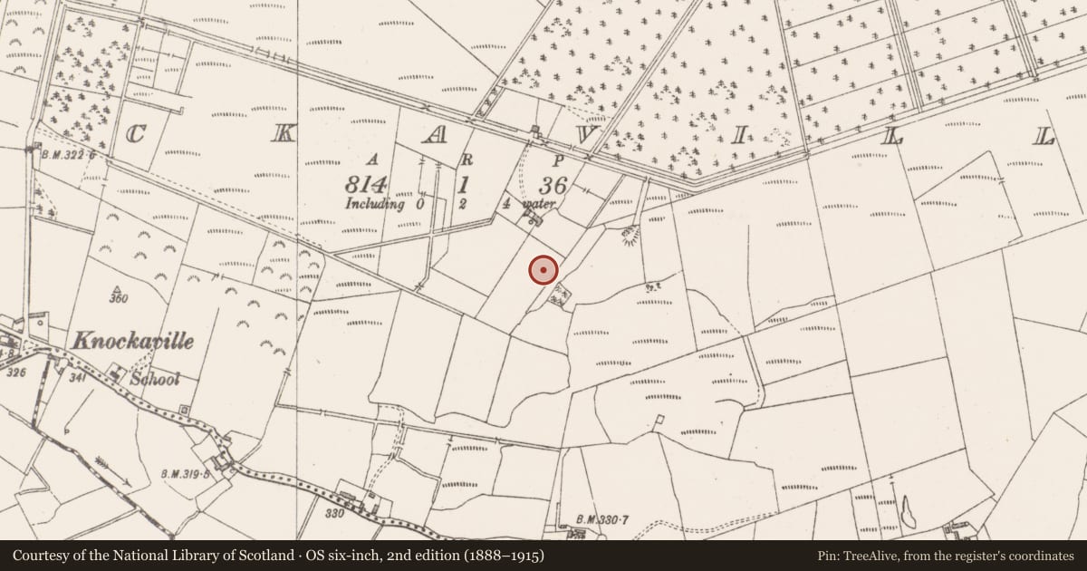 Ordnance Survey six-inch map, 2nd edition (1888–1915) covering the location of Crannog, Knockaville, County Westmeath, with a pin at the register's coordinates