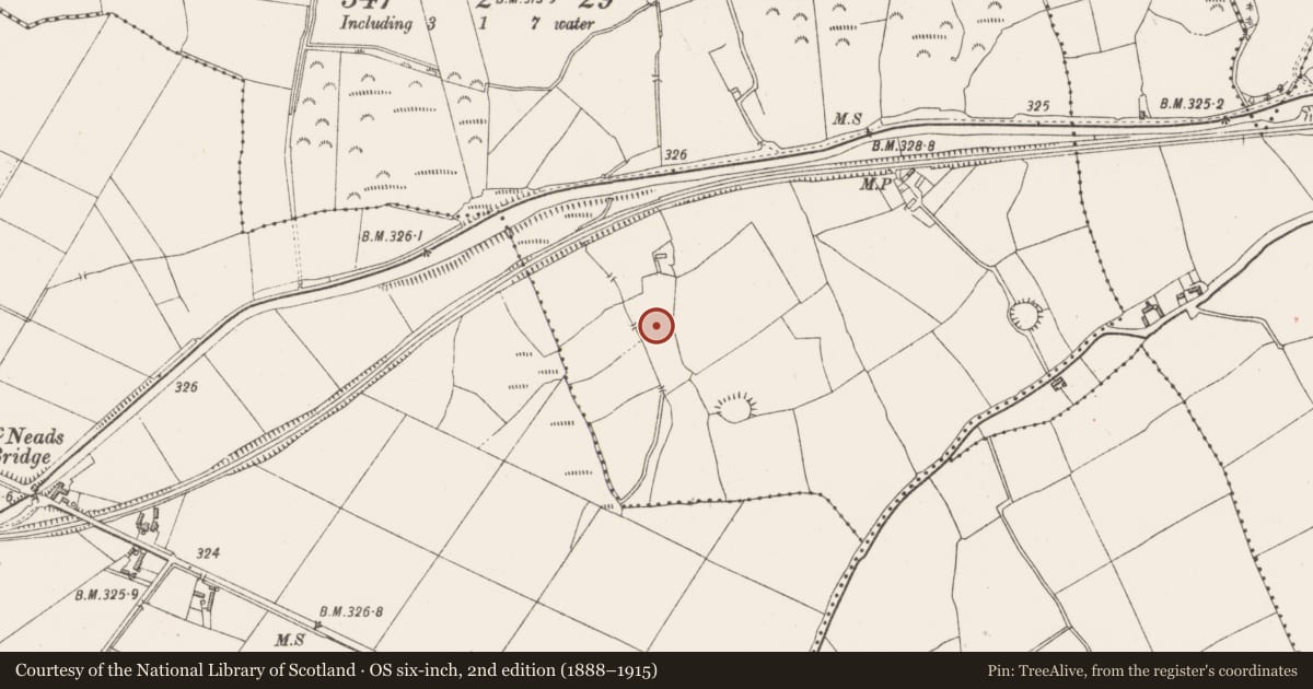 Ordnance Survey six-inch map, 2nd edition (1888–1915) covering the location of Souterrain, Banagher, County Westmeath, with a pin at the register's coordinates