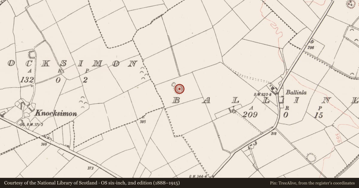 Ordnance Survey six-inch map, 2nd edition (1888–1915) covering the location of Hut site, Ballinla, County Westmeath, with a pin at the register's coordinates