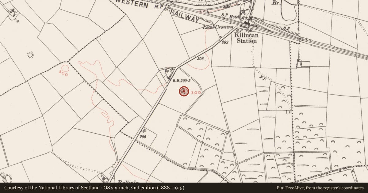 Ordnance Survey six-inch map, 2nd edition (1888–1915) covering the location of Ringfort - rath, Riverstown, County Westmeath, with a pin at the register's coordinates