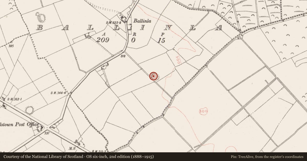 Ordnance Survey six-inch map, 2nd edition (1888–1915) covering the location of Ringfort - rath, Ballinla, County Westmeath, with a pin at the register's coordinates