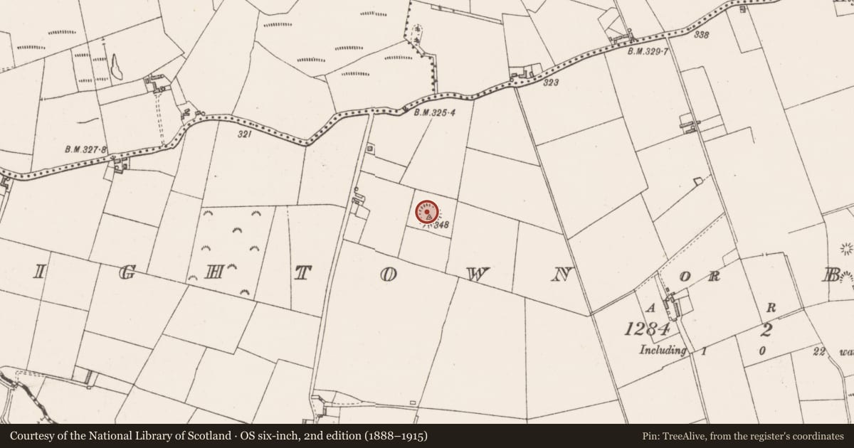 Ordnance Survey six-inch map, 2nd edition (1888–1915) covering the location of Ringfort - rath, Hightown Or Balloughter, County Westmeath, with a pin at the register's coordinates