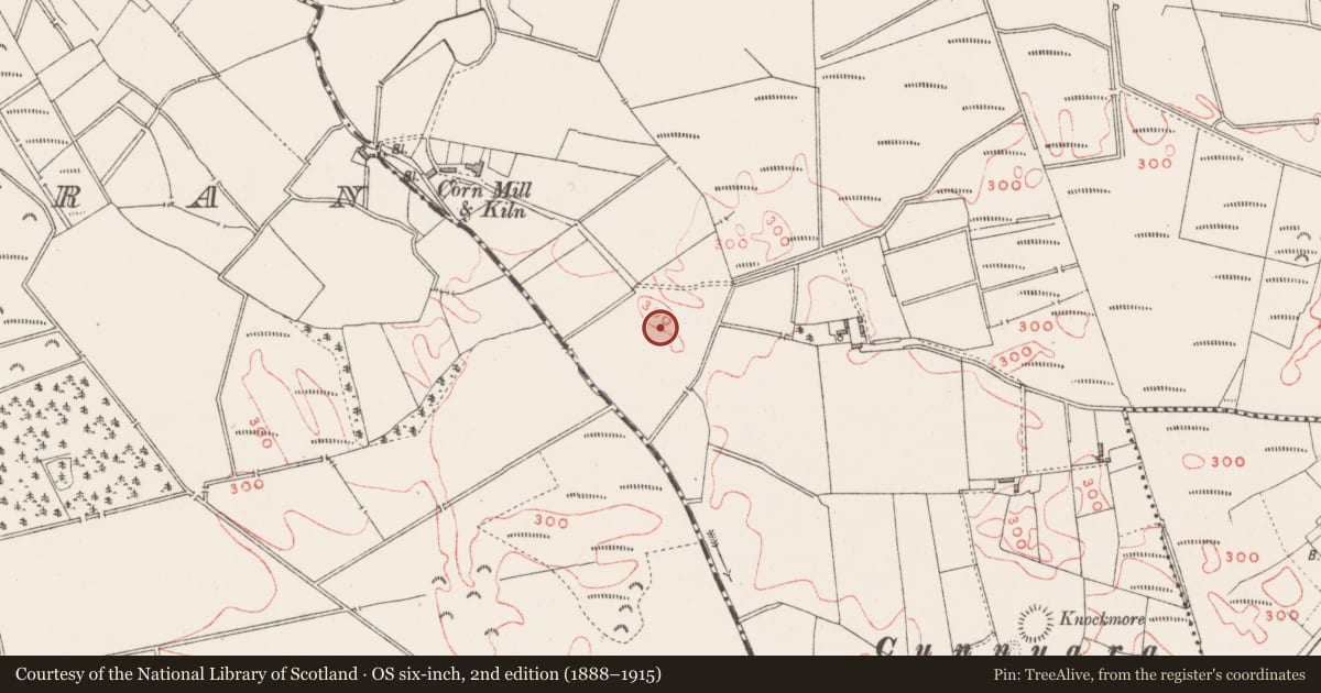 Ordnance Survey six-inch map, 2nd edition (1888–1915) covering the location of Ringfort - unclassified, Hightown Or Balloughter, County Westmeath, with a pin at the register's coordinates