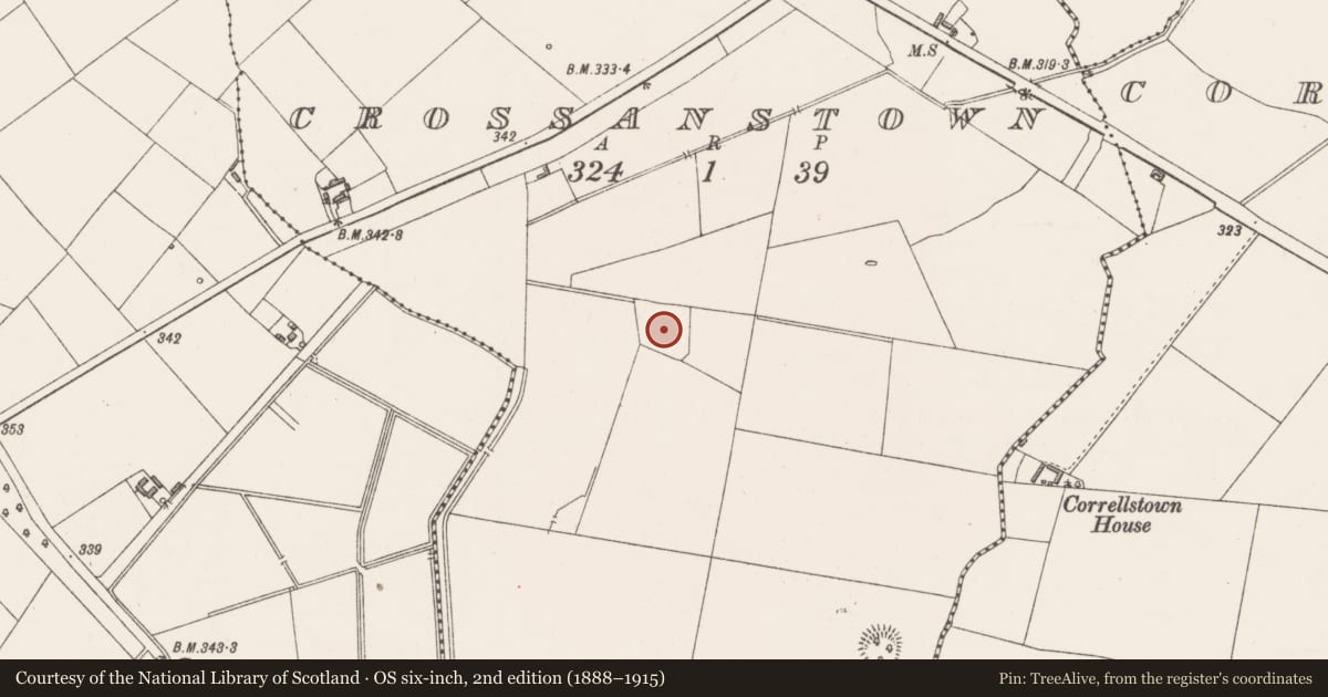 Ordnance Survey six-inch map, 2nd edition (1888–1915) covering the location of Moated site, Crossanstown, County Westmeath, with a pin at the register's coordinates