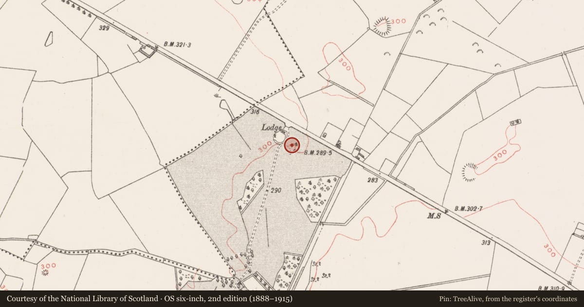 Ordnance Survey six-inch map, 2nd edition (1888–1915) covering the location of Ringfort - rath, Griffinstown, County Westmeath, with a pin at the register's coordinates