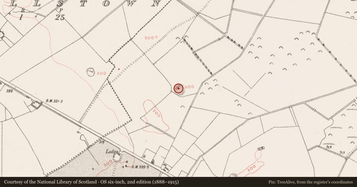 Ordnance Survey six-inch map, 2nd edition (1888–1915) covering the location of Castle - motte and bailey, Griffinstown, County Westmeath, with a pin at the register's coordinates