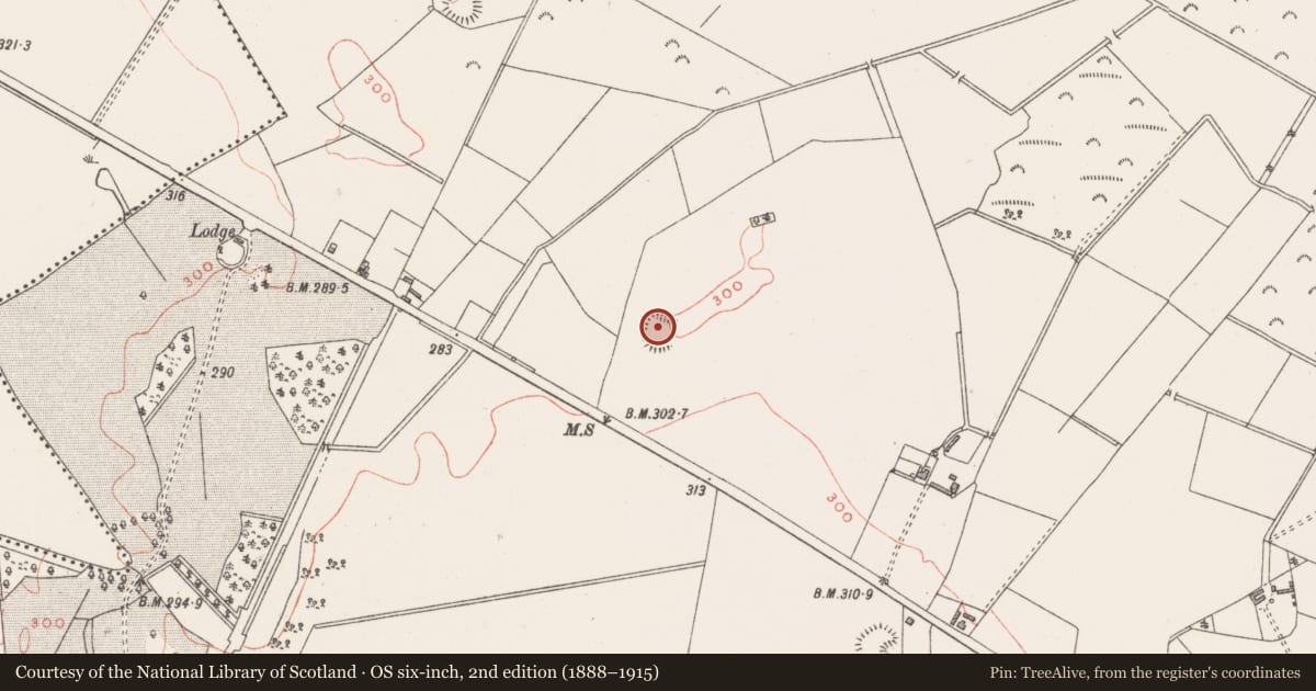 Ordnance Survey six-inch map, 2nd edition (1888–1915) covering the location of Ringfort - rath, Griffinstown, County Westmeath, with a pin at the register's coordinates