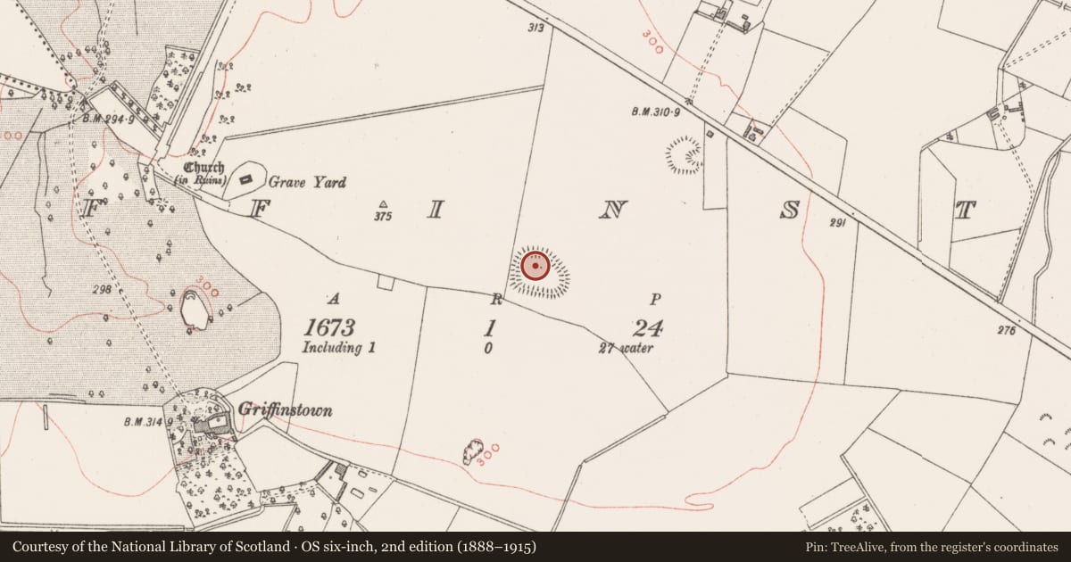 Ordnance Survey six-inch map, 2nd edition (1888–1915) covering the location of Ringfort - rath, Griffinstown, County Westmeath, with a pin at the register's coordinates