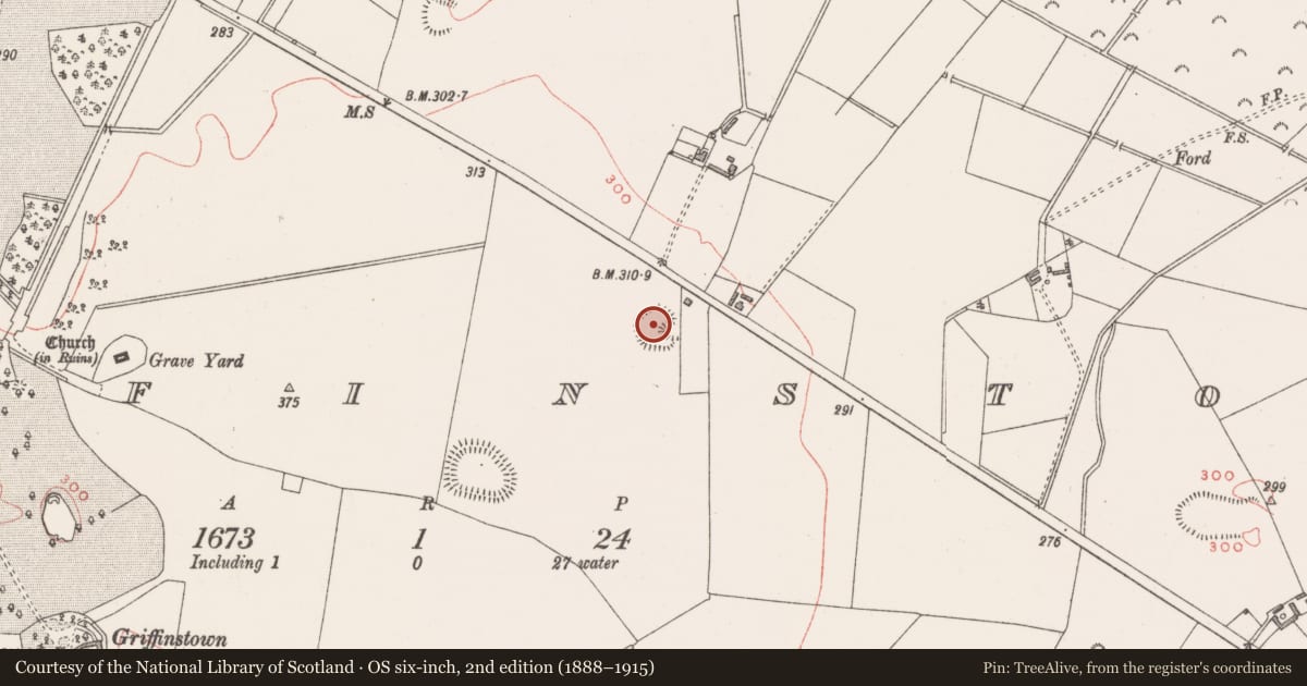 Ordnance Survey six-inch map, 2nd edition (1888–1915) covering the location of Ringfort - rath, Griffinstown, County Westmeath, with a pin at the register's coordinates