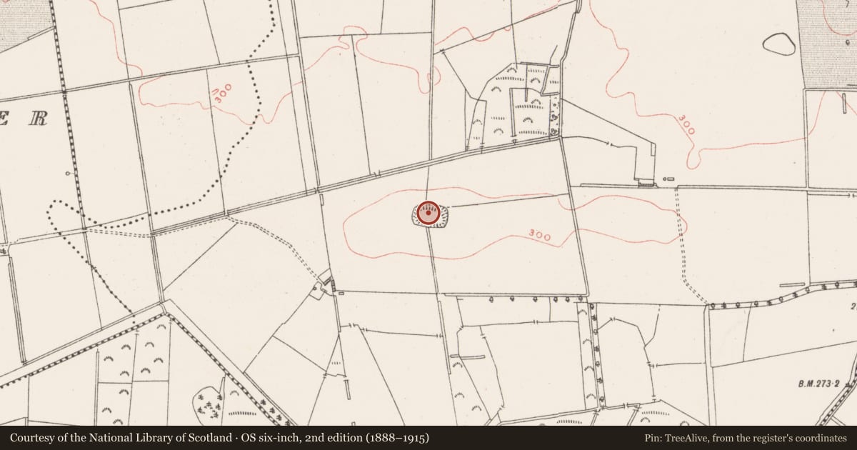 Ordnance Survey six-inch map, 2nd edition (1888–1915) covering the location of Ringfort - rath, Griffinstown, County Westmeath, with a pin at the register's coordinates