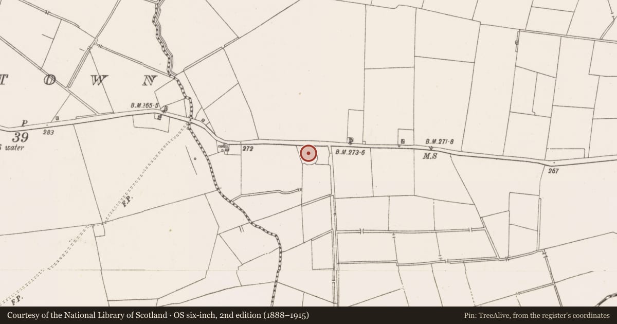 Ordnance Survey six-inch map, 2nd edition (1888–1915) covering the location of Ringfort - rath, Kinnegad, County Westmeath, with a pin at the register's coordinates