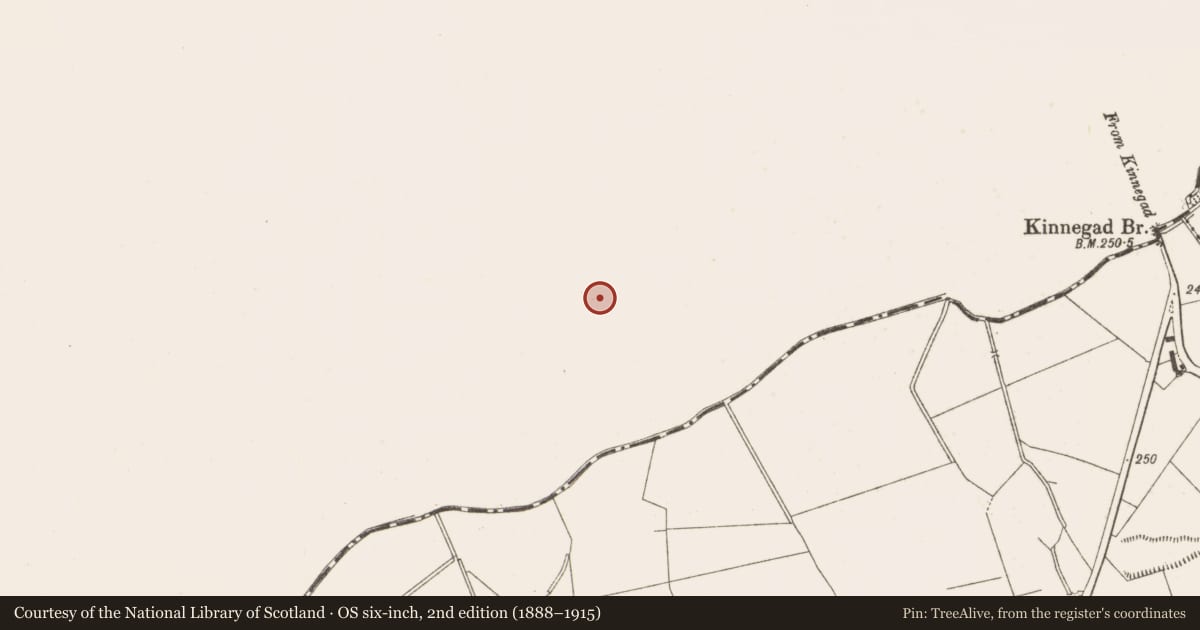 Ordnance Survey six-inch map, 2nd edition (1888–1915) covering the location of Ringfort - rath, Kinnegad, County Westmeath, with a pin at the register's coordinates