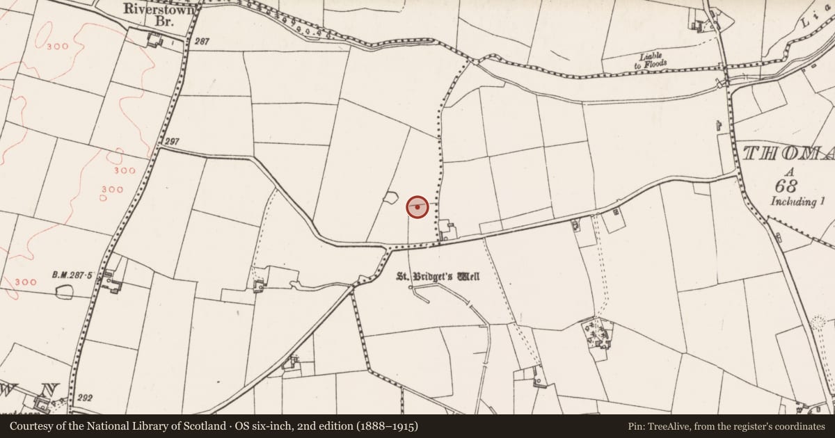 Ordnance Survey six-inch map, 2nd edition (1888–1915) covering the location of Cist, Grehanstown, County Westmeath, with a pin at the register's coordinates