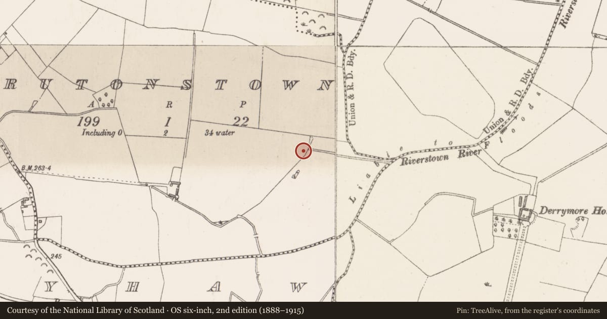 Ordnance Survey six-inch map, 2nd edition (1888–1915) covering the location of Enclosure, Brutonstown, County Westmeath, with a pin at the register's coordinates