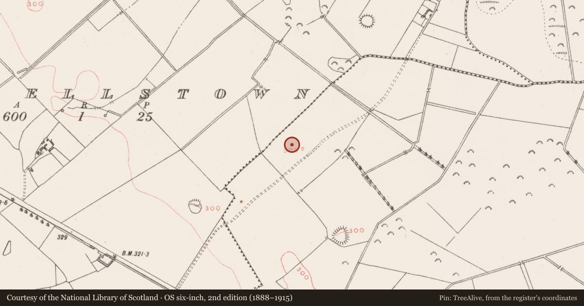 Ordnance Survey six-inch map, 2nd edition (1888–1915) covering the location of Enclosure - large enclosure, Griffinstown, County Westmeath, with a pin at the register's coordinates