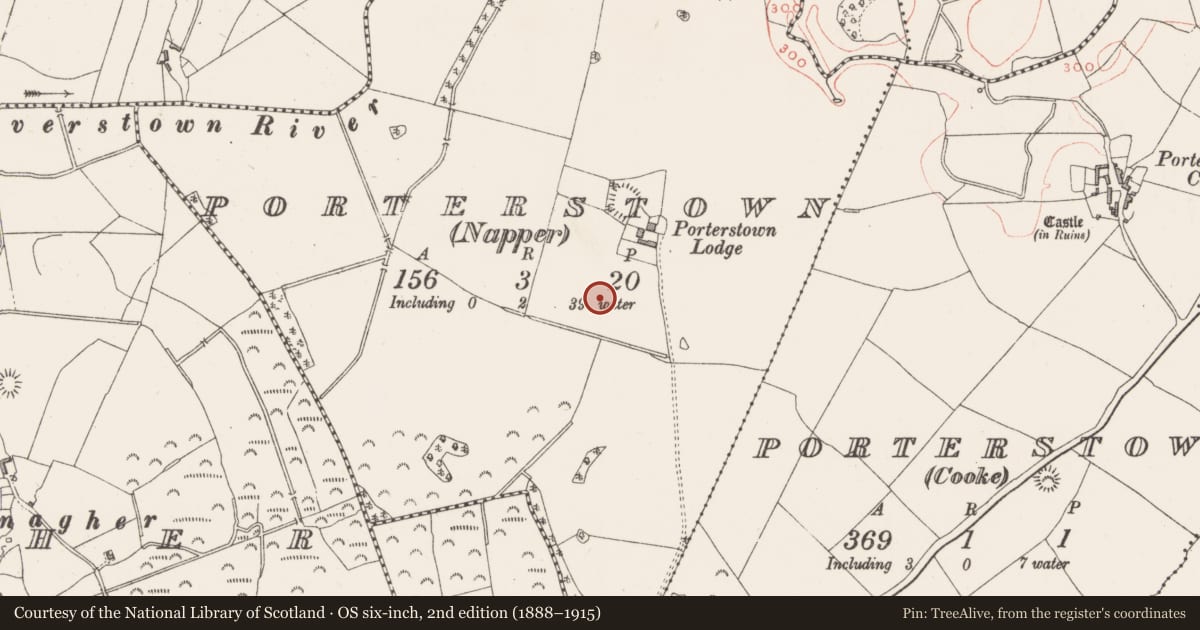 Ordnance Survey six-inch map, 2nd edition (1888–1915) covering the location of Enclosure, Porterstown (Napper), County Westmeath, with a pin at the register's coordinates