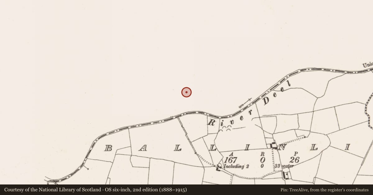 Ordnance Survey six-inch map, 2nd edition (1888–1915) covering the location of Earthwork, Riverdale, County Westmeath, with a pin at the register's coordinates