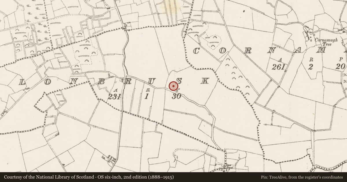Ordnance Survey six-inch map, 2nd edition (1888–1915) covering the location of Standing stone - pair, Clonbrusk, County Westmeath, with a pin at the register's coordinates
