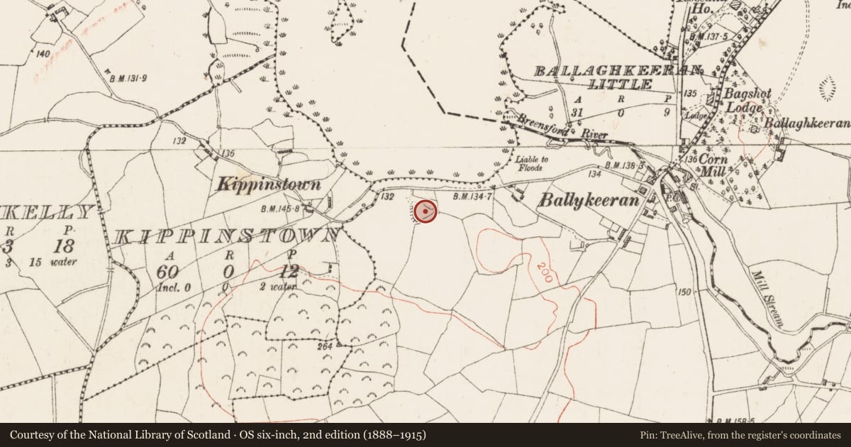 Ordnance Survey six-inch map, 2nd edition (1888–1915) covering the location of Earthwork, Ballykeeran, County Westmeath, with a pin at the register's coordinates