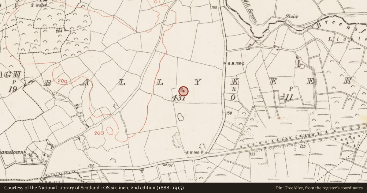 Ordnance Survey six-inch map, 2nd edition (1888–1915) covering the location of Rabbit warren, Ballykeeran, County Westmeath, with a pin at the register's coordinates