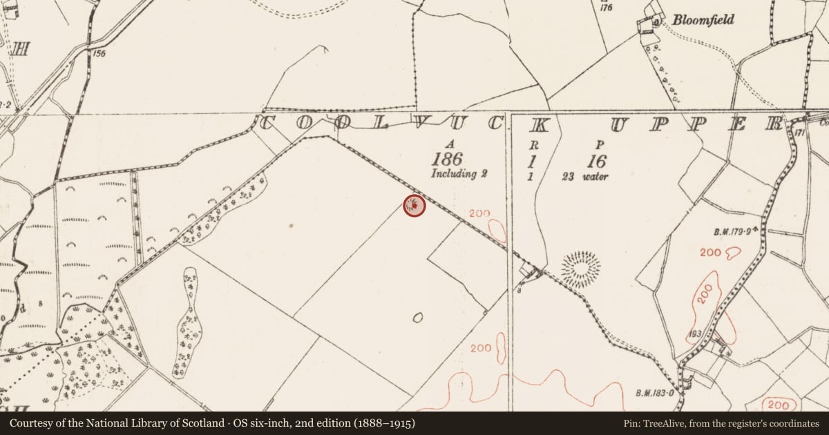 Ordnance Survey six-inch map, 2nd edition (1888–1915) covering the location of Castle - motte, Twyford, County Westmeath, with a pin at the register's coordinates