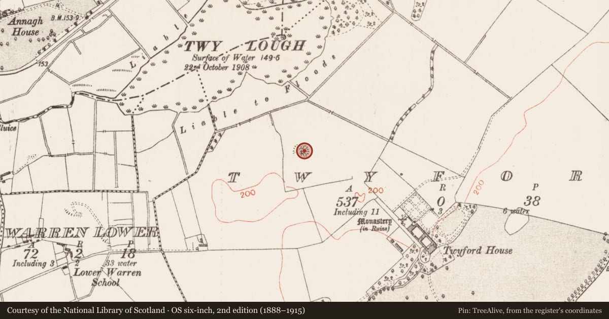 Ordnance Survey six-inch map, 2nd edition (1888–1915) covering the location of Castle - motte, Twyford, County Westmeath, with a pin at the register's coordinates