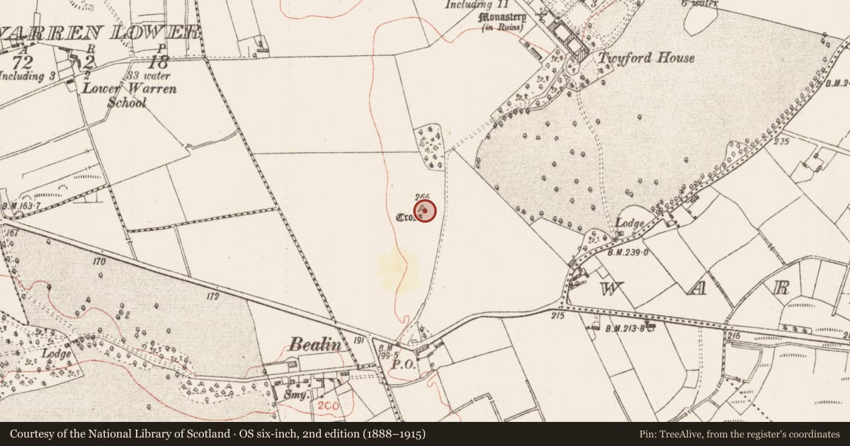 Ordnance Survey six-inch map, 2nd edition (1888–1915) covering the location of Cross - High cross (present location), Twyford, County Westmeath, with a pin at the register's coordinates