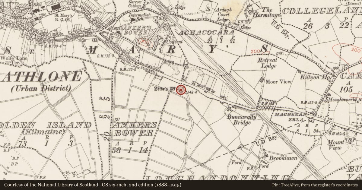 Ordnance Survey six-inch map, 2nd edition (1888–1915) covering the location of Ritual site - holy well, Loughandonning, County Westmeath, with a pin at the register's coordinates