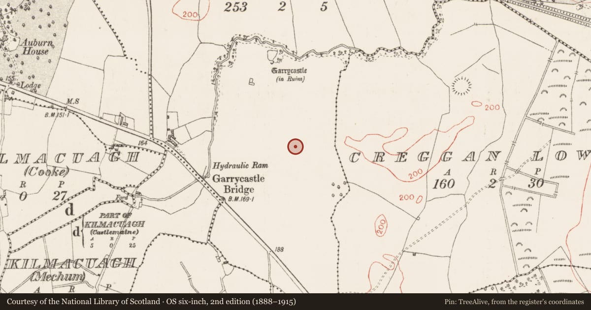 Ordnance Survey six-inch map, 2nd edition (1888–1915) covering the location of Ringfort - rath, Garrycastle, County Westmeath, with a pin at the register's coordinates